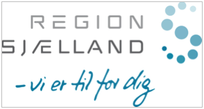 Læs reference fra Region Sjælland